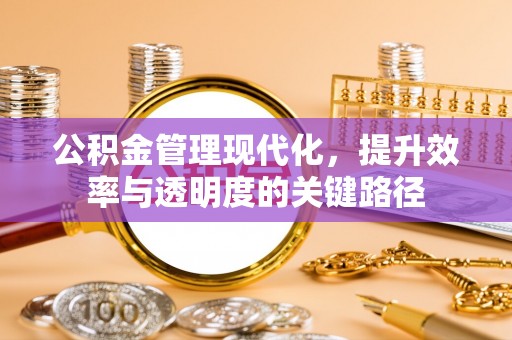 九龙坡公积金管理现代化，提升效率与透明度的关键路径